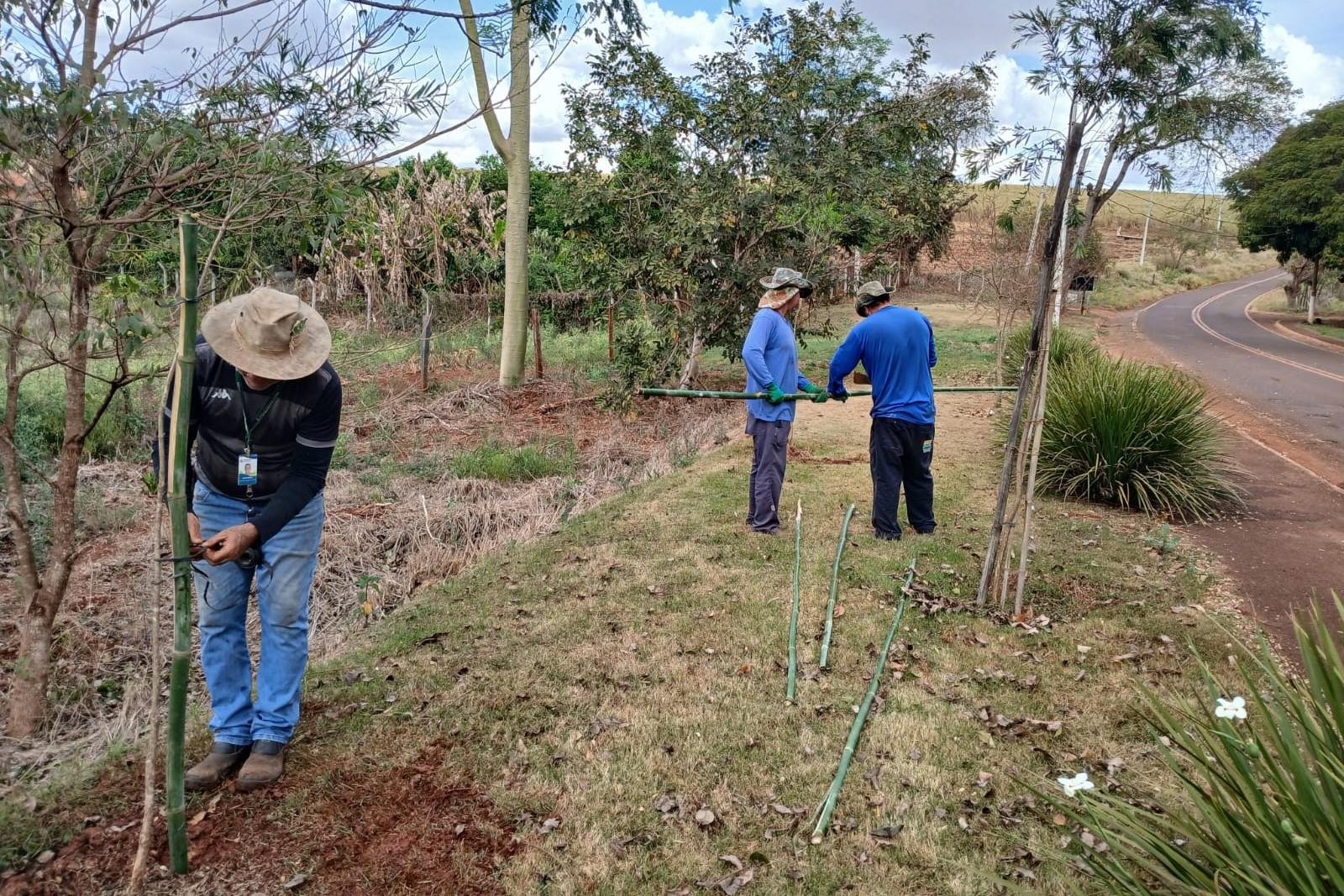Além dessas ações, os servidores também executam serviços de preparo do solo, adubação e controle de formigas, garantindo melhores condições para o desenvolvimento das mudas e para a preservação ambiental do bairro.