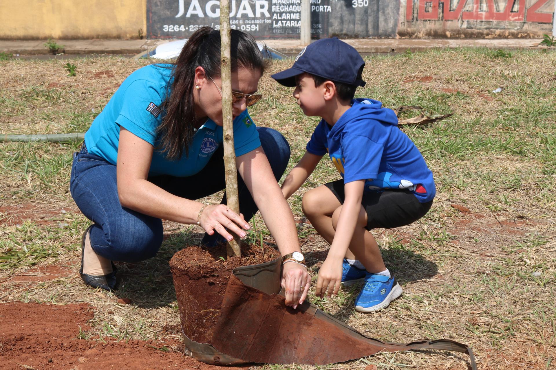 Campanha Lençóis+Verde propõe plantio de árvores em calçadas por toda cidade