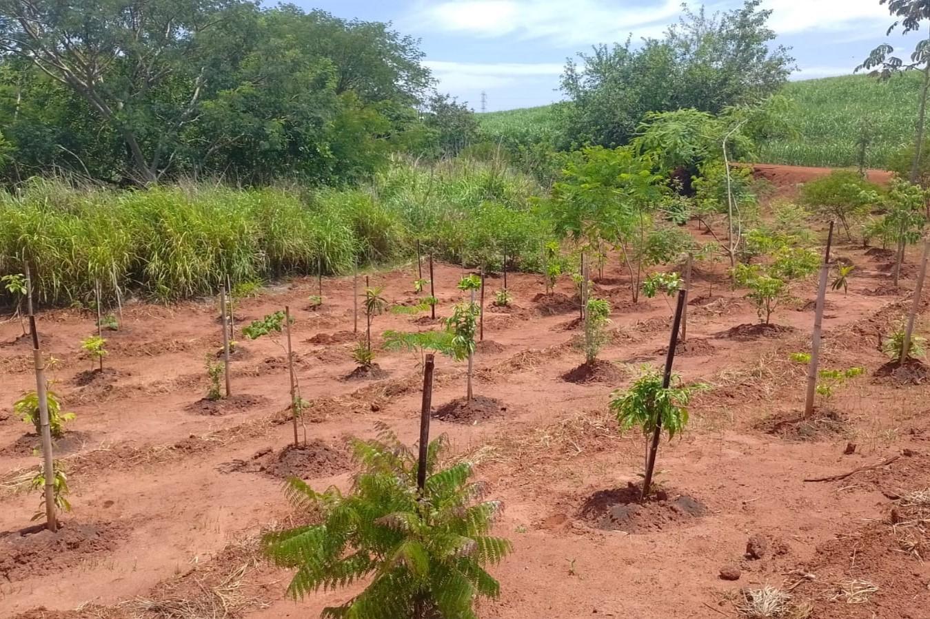 Com planejamento e atuação integrada, Lençóis Paulista segue avançando na preservação dos seus recursos hídricos e na construção de um município mais sustentável