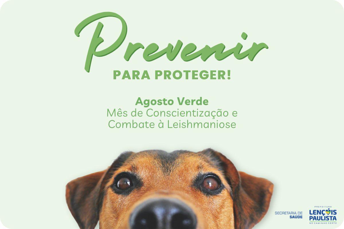 Semana de Combate à Leishmaniose terá ações de orientação e prevenção em Lençóis Paulista