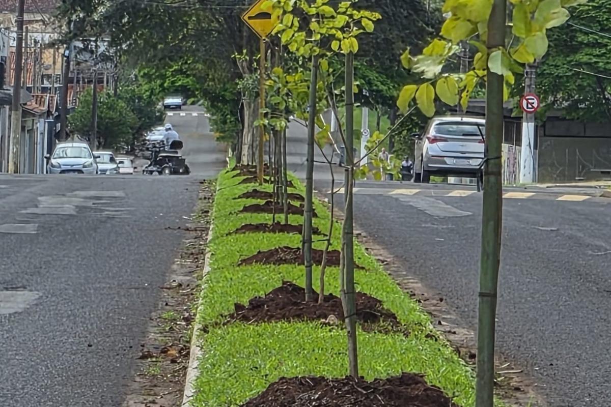A iniciativa busca aumentar a cobertura vegetal urbana, unindo o plantio de árvores à educação ambiental junto aos munícipes