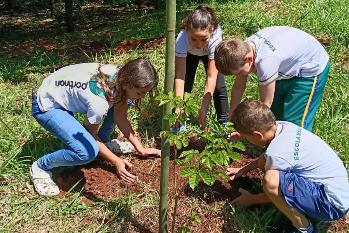 A iniciativa reforça o protagonismo juvenil e a parceria entre escolas e poder público na promoção da educação ambiental, na recuperação de áreas naturais e na conservação dos recursos hídricos