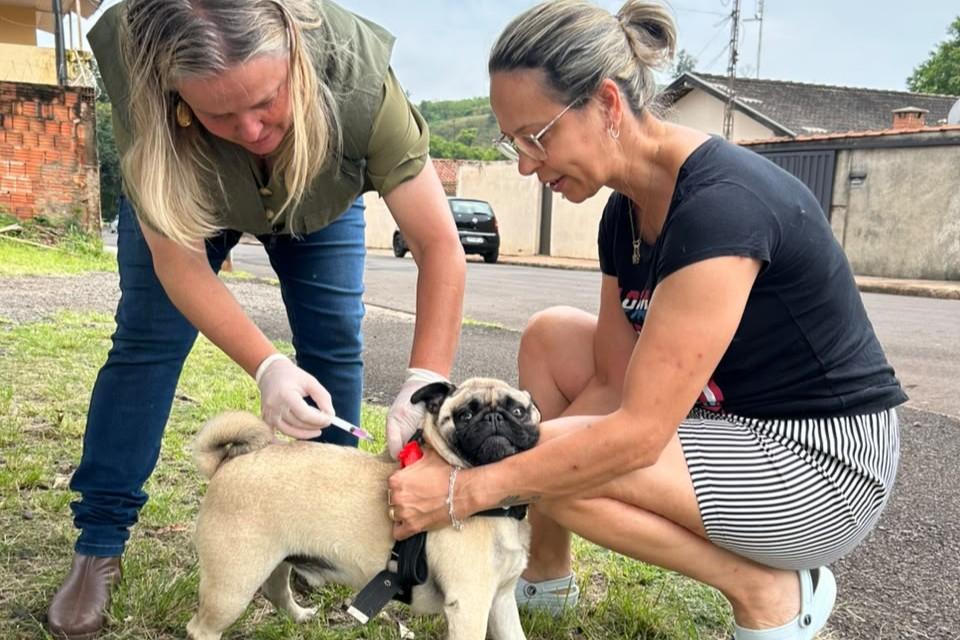 A iniciativa integra o trabalho de prevenção e promoção da saúde desenvolvido pela Secretaria de Saúde, por meio das equipes da Atenção Básica e de Zoonoses, reforçando a importância da vacinação e da guarda responsável dos animais de estimação.