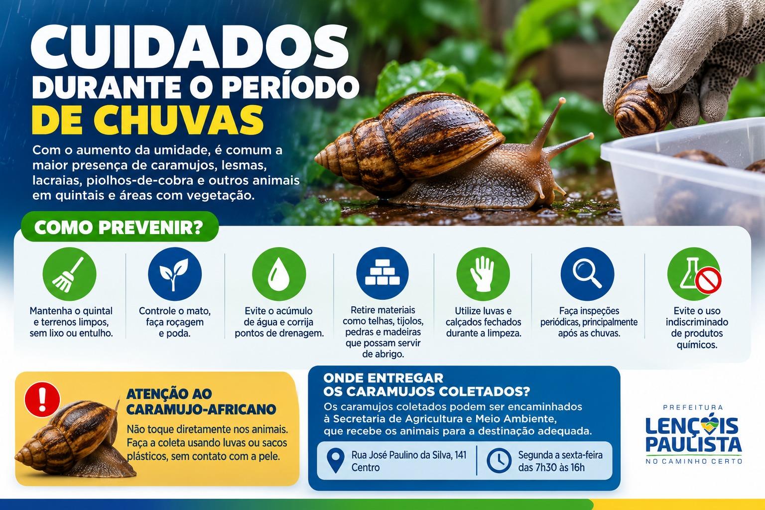 A Prefeitura esclarece que o aumento da presença desses animais durante o período chuvoso é um fenômeno associado às condições ambientais.