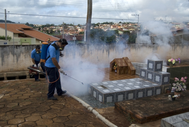 Dedetização será realizada após o feriado de Finados, no dia 3 de novembro