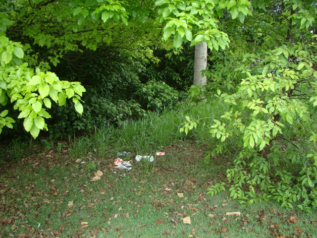 Lixo é descartado irregularmente nas áreas verdes do bairro