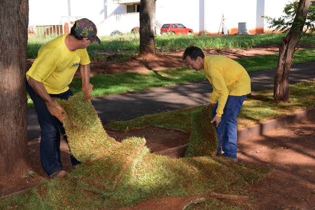 Servidores da Diretoria de Obras durante o plantio no entorno do Teatro