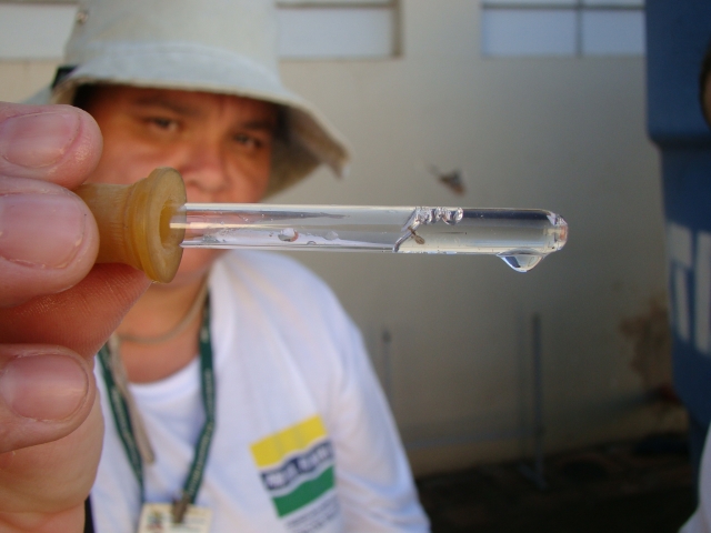 Agentes e supervisores vistoriam casas e empresas em busca de larvas do Aedes aegypti