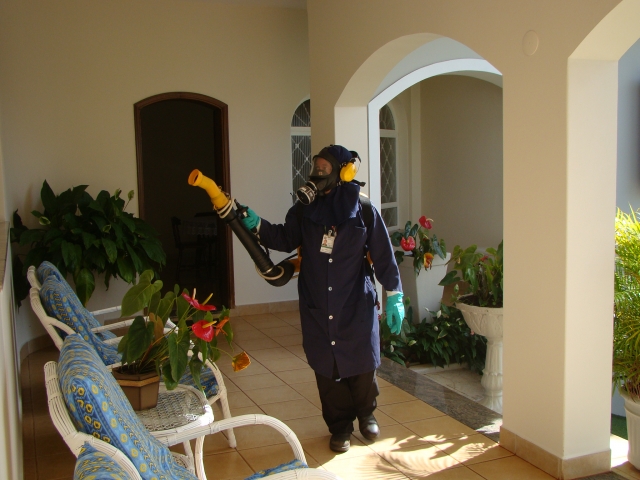 Nebulização mata mosquito adulto