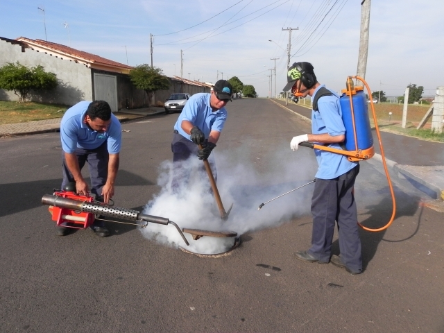 Calor excessivo e chuvas constantes aumentam proliferação de insetos