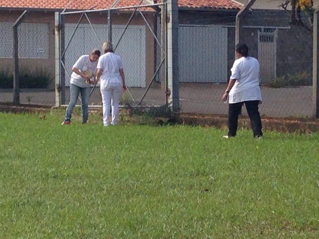 Agentes do Núcleo verificam unidade em busca de criadouros do Aedes
