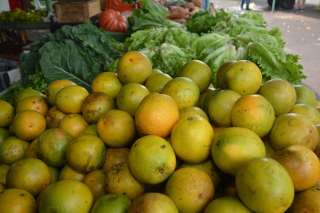 DIPAM deve ser entrega nos casos de venda referente a sua atividade para outro produtor rural (foto Wagner Gonçalves/Assessoria de Comunicação e Cerimonial)