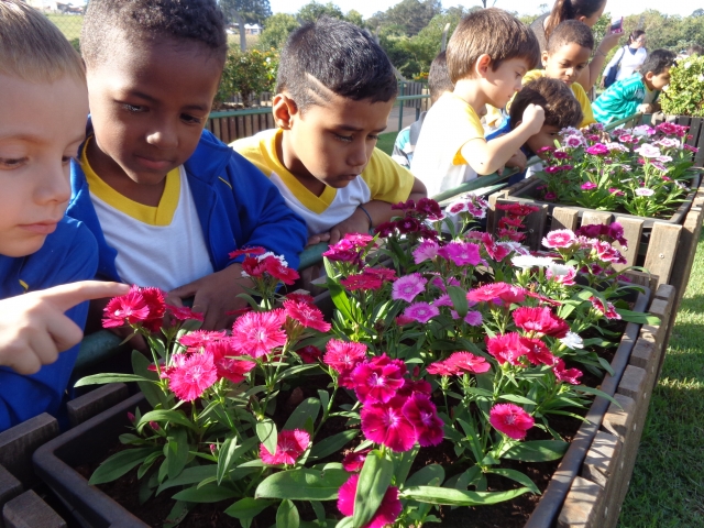 As visitas no Jardim Sensorial e no Mini Zoológico de Esculturas, no Parque do Povo, possibilitam que as crianças aprendam de forma prazerosa