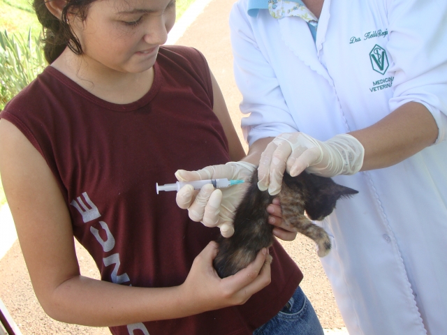 Leve seu cão ou gato para ser vacinado