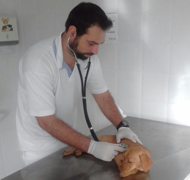 Além de castrações de machos, Canil tem atendimento ambulatorial