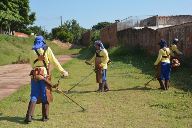 Equipes da DAMA trabalham no entorno da ADEFILP