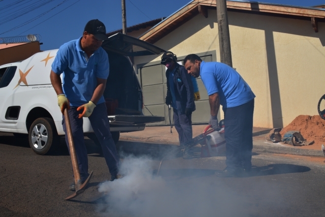Equipes do Saae retomam trabalho de controle de pragas nesta semana
