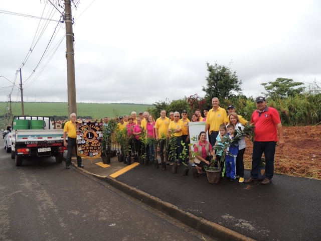 Mudas de árvores frutíferas foram plantadas no Jardim Santa Terezinha