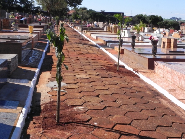 Além do plantio de árvores, revitalização deve durar o ano todo