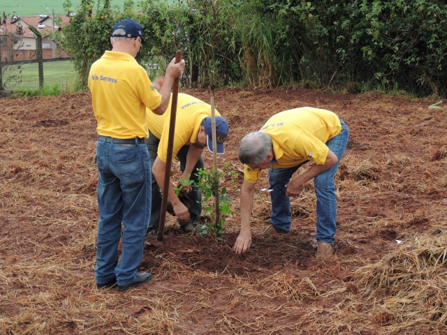 O primeiro Pomar Comunitário foi criado em uma área do jardim Santa Terezinha