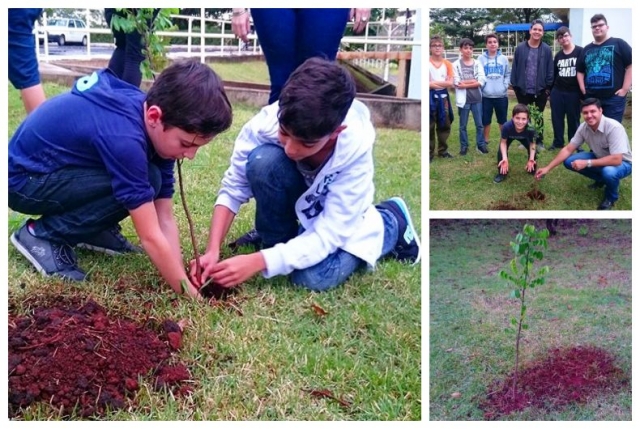 Alunos do CMFP também participaram das atividades em comemoração ao Dia Mundial do Meio Ambiente plantando mudas
