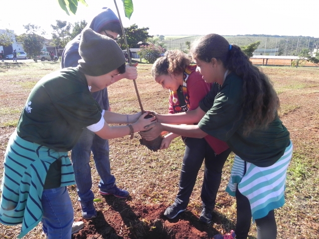 Moradores, crianças e jovens também participaram do plantio no Caju e em Alfredo Guedes