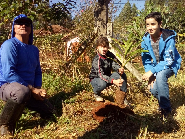 Funcionários da empresa e alunos participaram do plantio