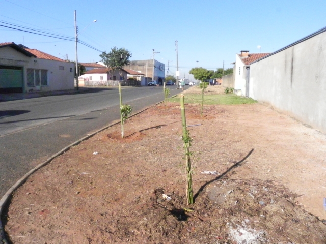 Área com plantio de mudas frutíferas no Jardim das Nações