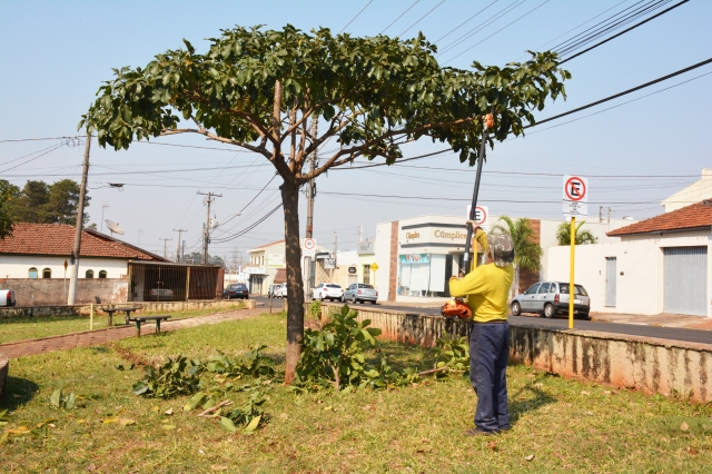 Trabalho inclui poda, limpeza, paisagismo e instalação de lixeiras