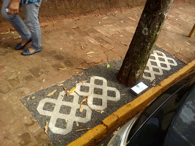 Espaço visa evitar que raízes causem danos nas calçadas