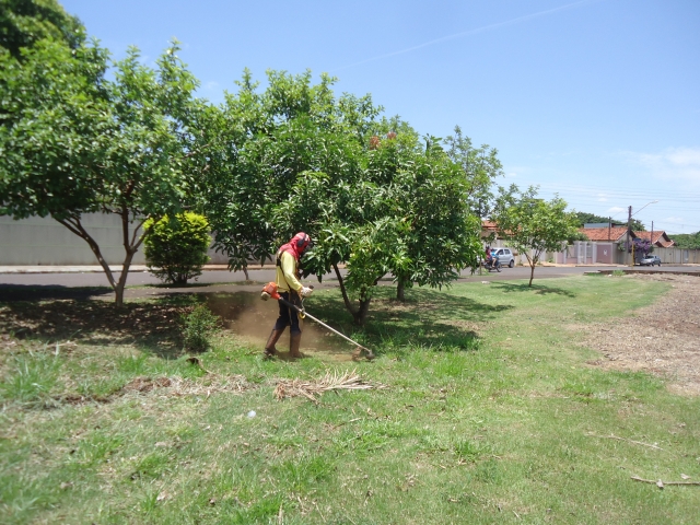 No período de dezembro a março a atenção especial se volta à manutenção e limpeza de terrenos, públicos e particulares