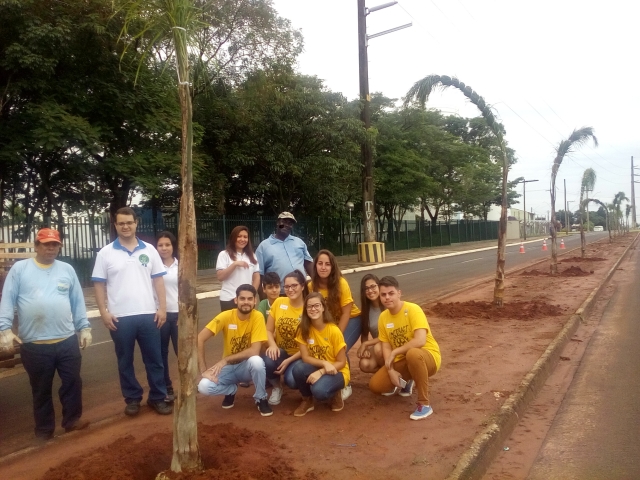 Serão plantadas 74 palmeiras até as proximidades da nova estação rodoviária