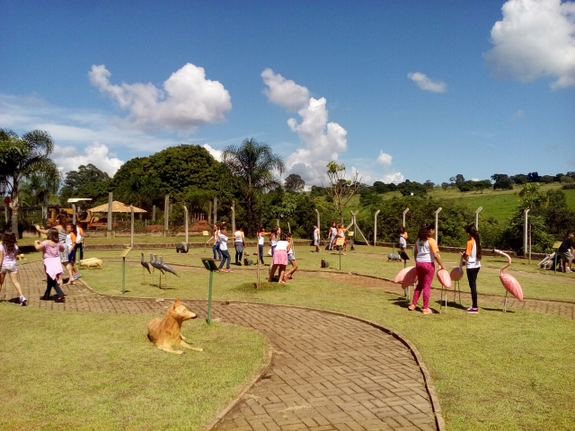 As crianças conheceram diversas espécies da fauna e de árvores nativas