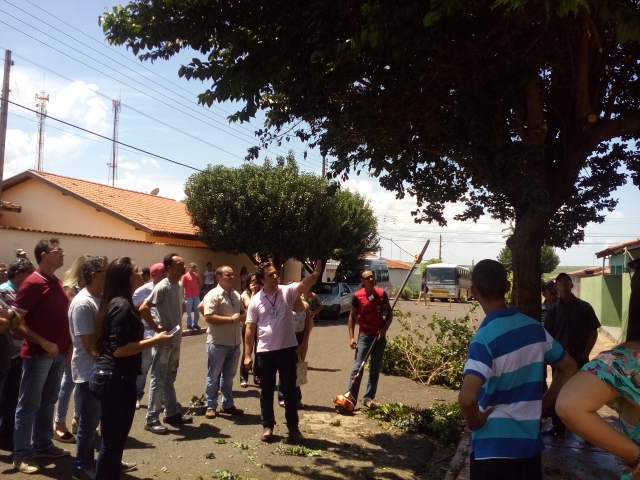 Após as palestras todos os participantes acompanharam a parte prática de poda em árvores