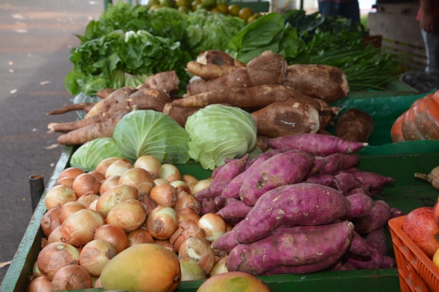 Produtores com dúvidas devem procurar o setor de arrecadação e fiscalização da prefeitura