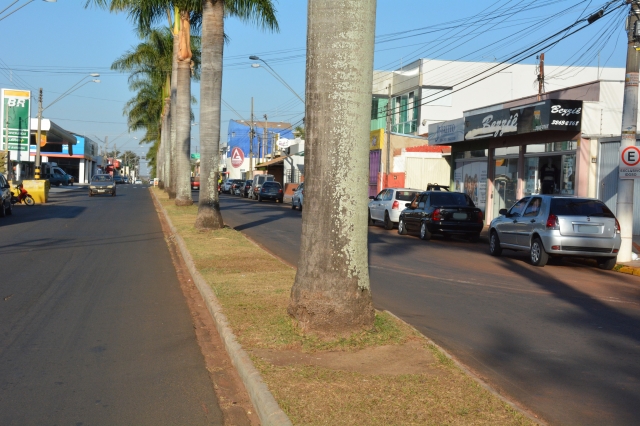 Canteiro central da Avenida Padre Salústio não deve ser usado como depósito de lixo