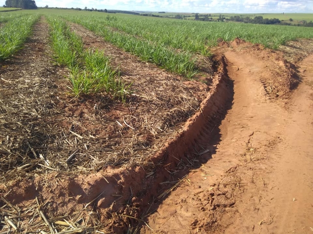 Foi dado atenção especial à drenagem da água da chuva