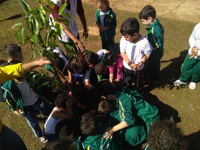 A proposta da Secretaria foi a grande oportunidade de envolver as crianças no processo de plantio