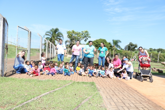 As visitas que ocorrem com alunos a partir da etapa II envolvem ações educativas mais aprofundadas e instrutivas