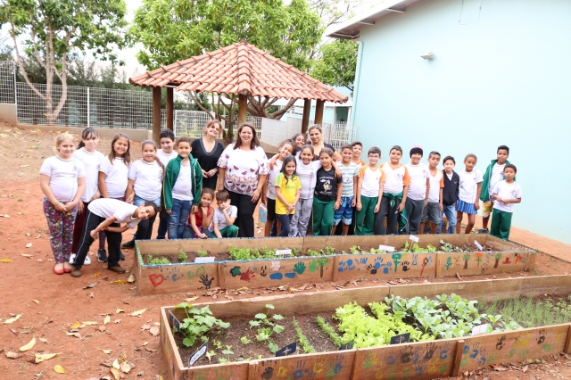 Os alunos cultivam na horta as seguintes hortaliças: salsinha; cebolinha; couve; alface; cenoura; rúcula; abobrinha; alcachofra e beterraba