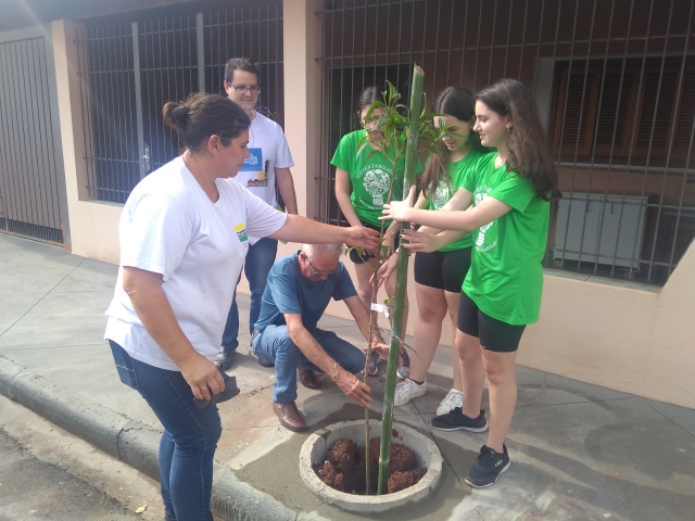 Morador do Jardim Ubirama, alunos da Cooperelp e servidores municipais plantaram uma muda da espécie quaresmeira