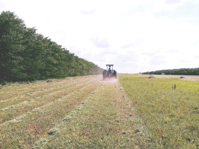 Três tratores com roçadeiras são utilizados na limpeza da área de 148.000m²
