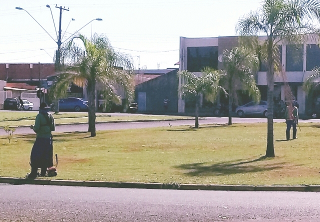 Rotatória de acesso ao Jardim do Caju recebeu atenção das equipes do Meio Ambiente