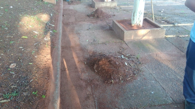 Estacionamento do Paço Municipal também passou por manutenção na sexta-feira, 25