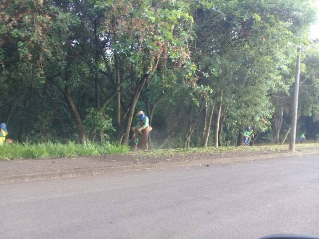 Áreas próximas ao Rio da Prata, do Monte Azul à Vila Antonieta, passaram por limpeza