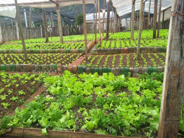 No Jardim do Caju são 11 lotes situados na Rua Arthur Canova, esquina com Rua Angelo Bottan