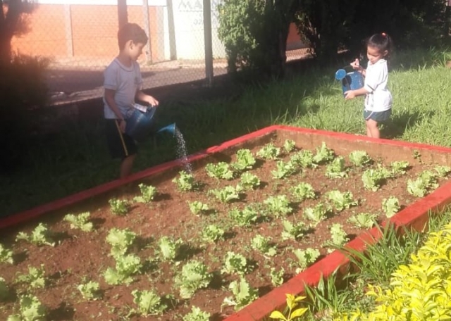 Horta da EMEI Yvonne Conti Capoani, no Núcleo Habitacional Luiz Zillo