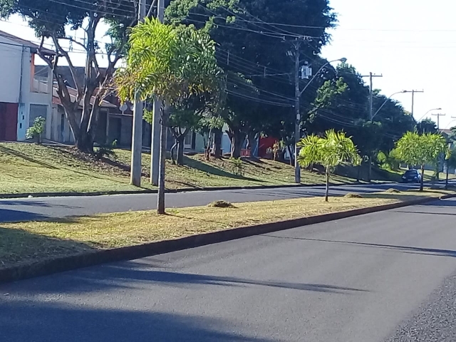 Canteiros e recuos de avenidas da cidade passam constantemente por manutenção