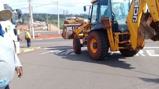 Depois do canteiro central da Avenida Cruzeiro do Sul, agora a rotatória recebe o plantio de grama