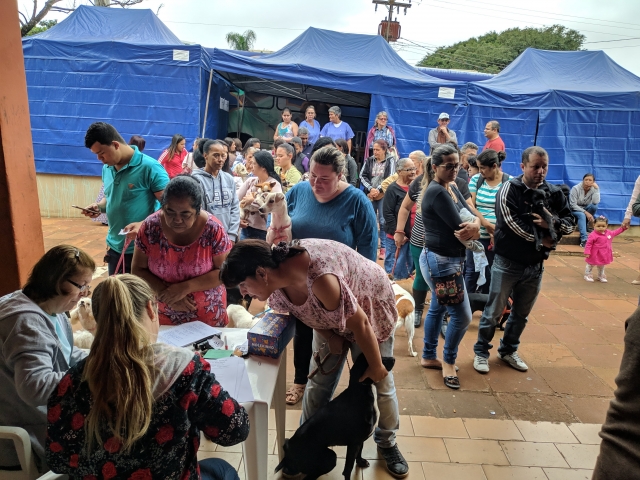 População compareceu com seus animais para mutirão de castração de fêmeas - Imprensa/PMLP